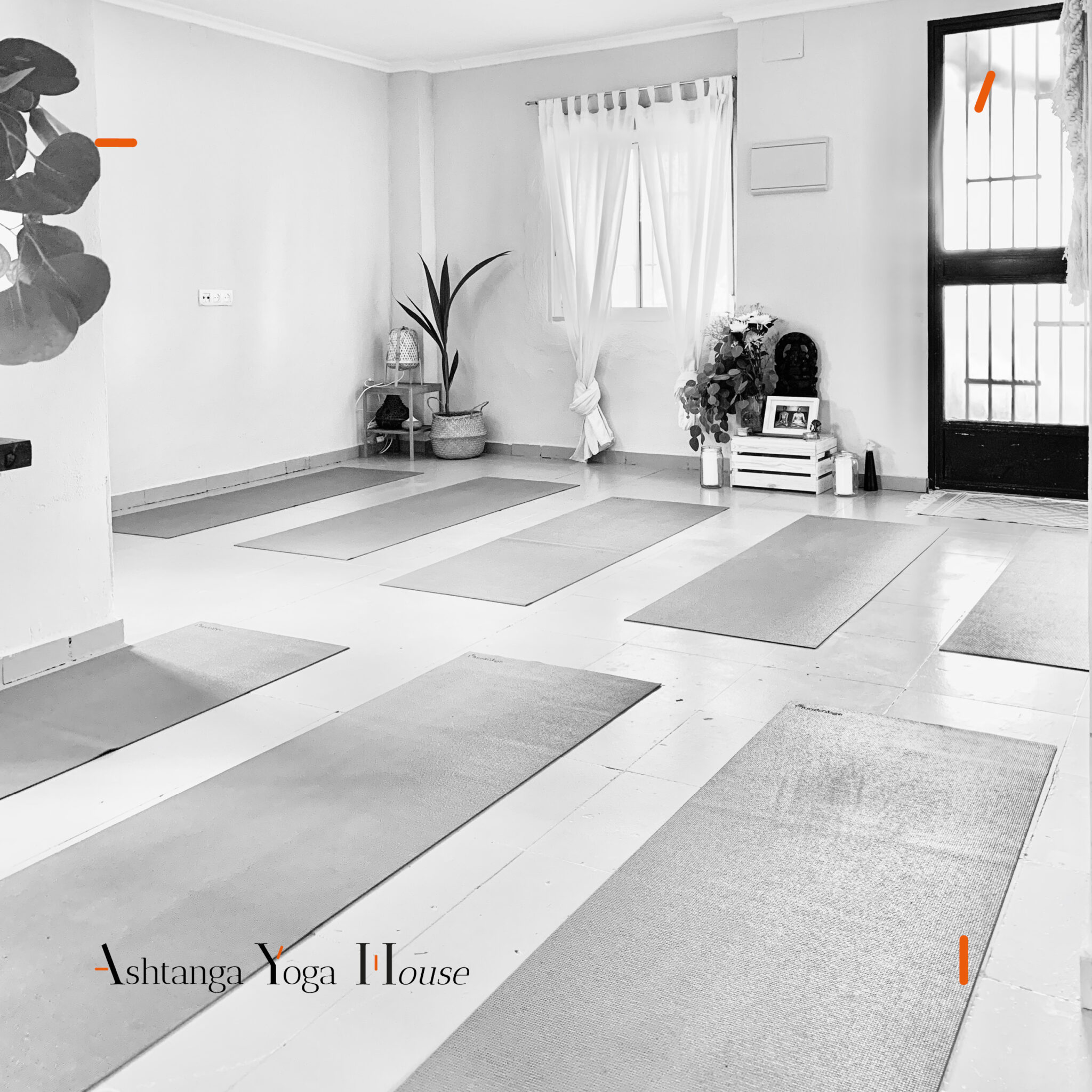 NUEVA SHALA Ashtanga Yoga EN TORRENT Ashtanga Yoga house